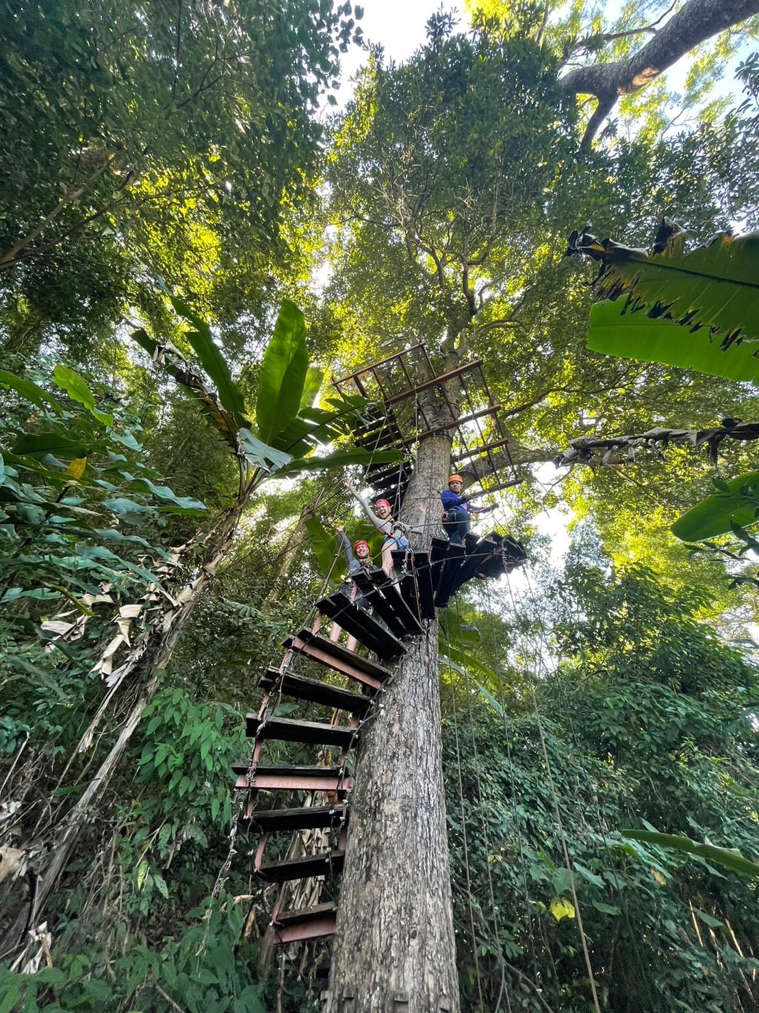 Adventure Shot Course Zipline Short Course - Sky Hawk Zipline