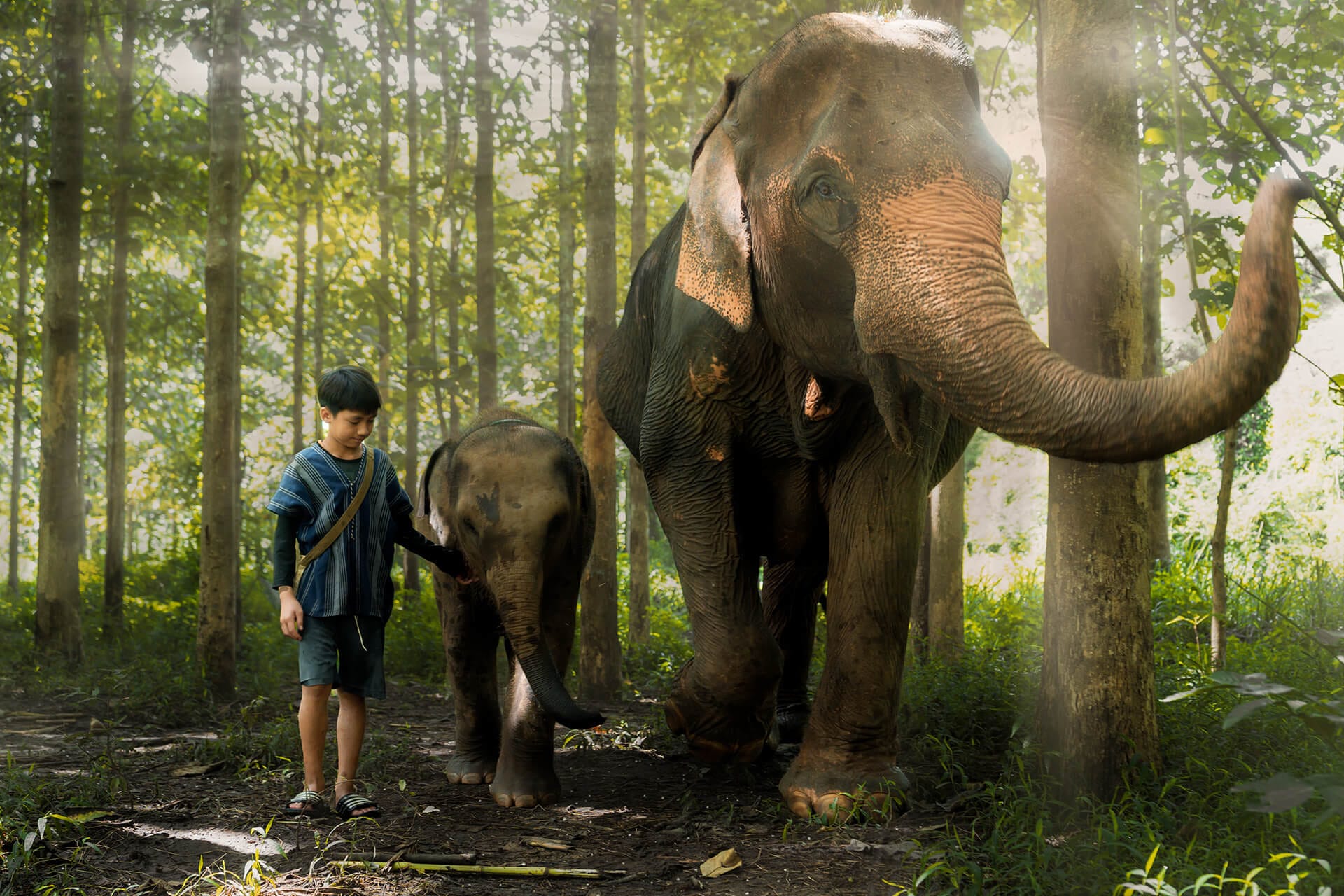 Nature and Wildlife Into the Wild