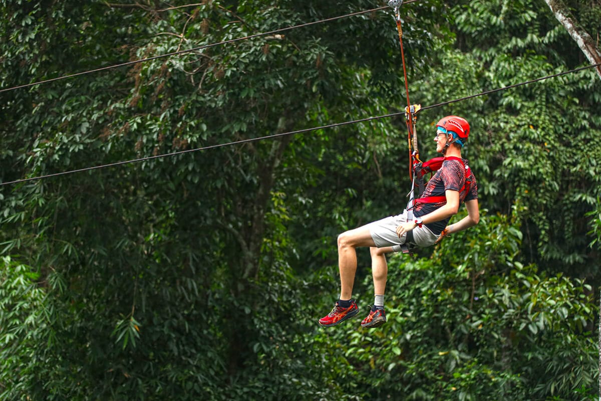 Year-Round Availability