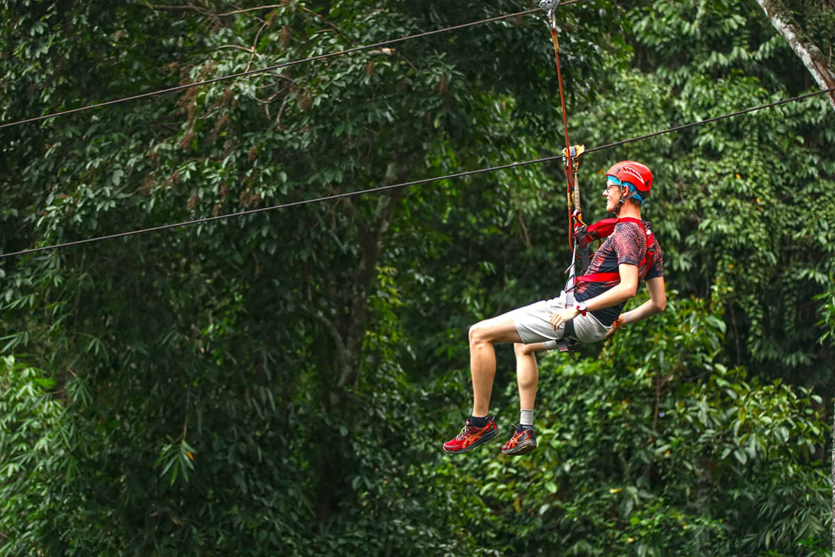 Year-Round Availability