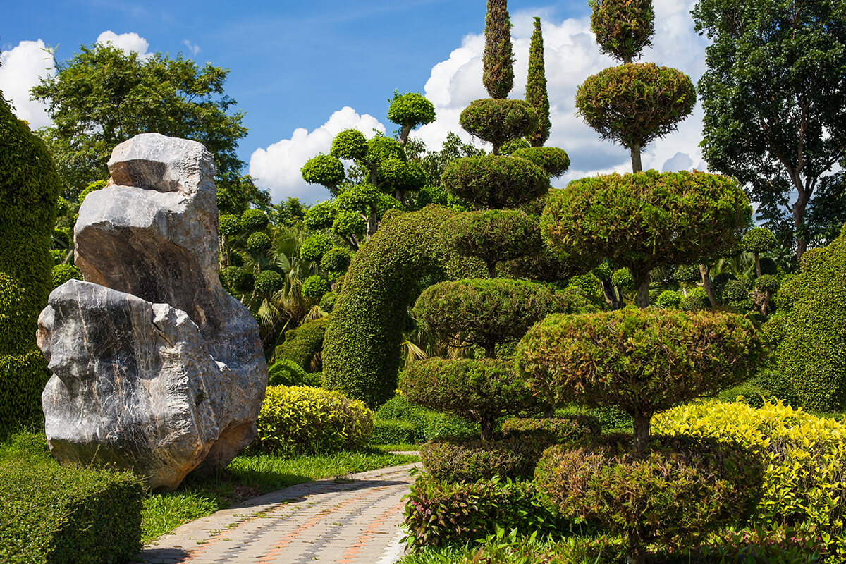 Step Into Nature - Tweechol Botanical Garden